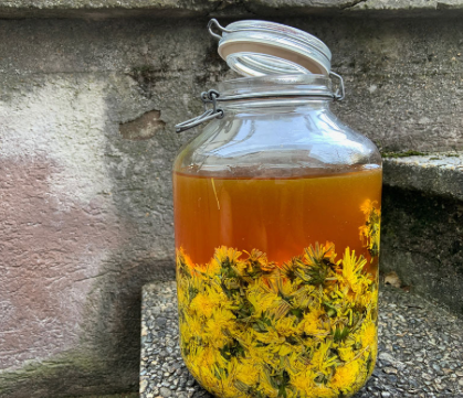 oxymel recipe, herbal oxymel