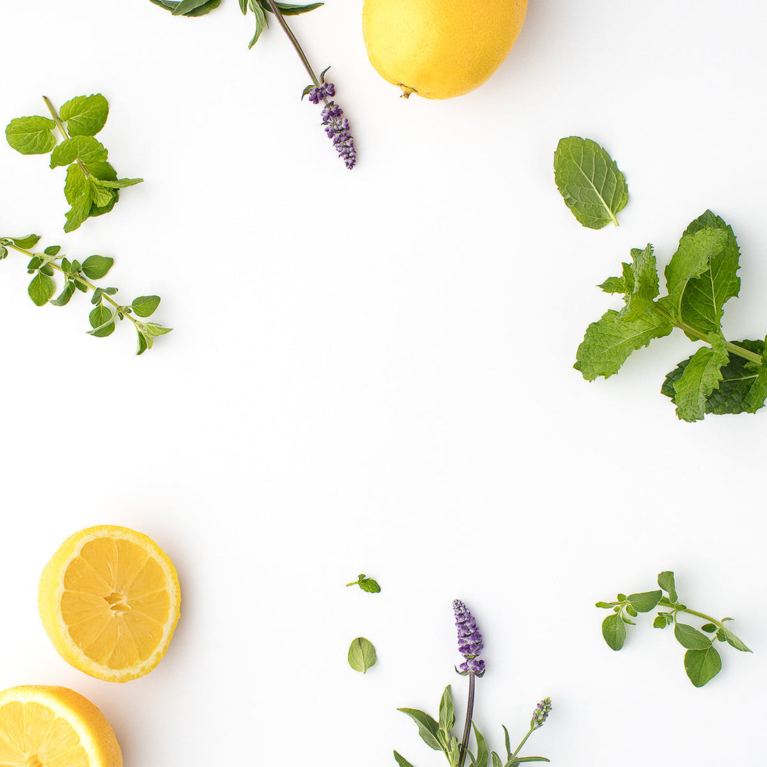 lavender, lemon balm, lemons, mint herb