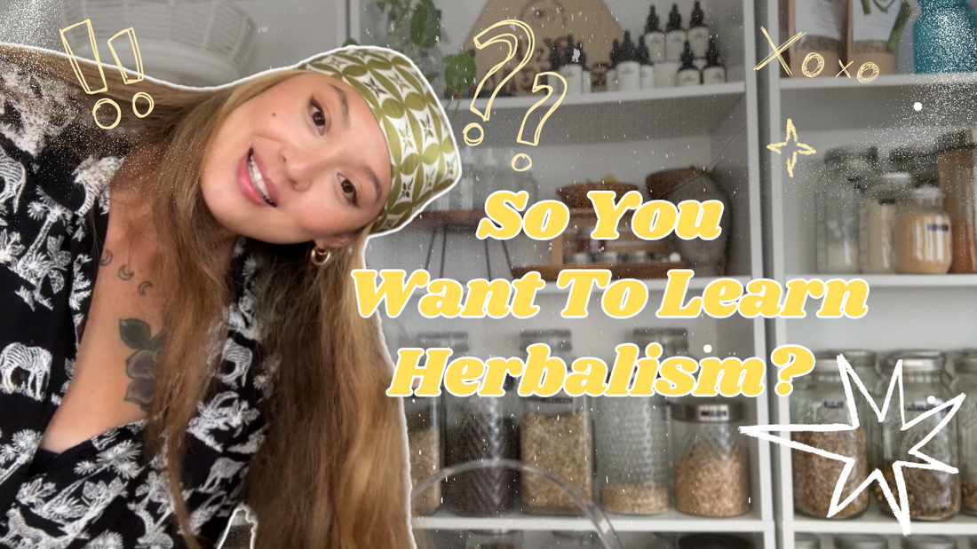 🌿 So You Want To Learn Herbalism? | Start Your Journey Into Herbal Medicine Today!