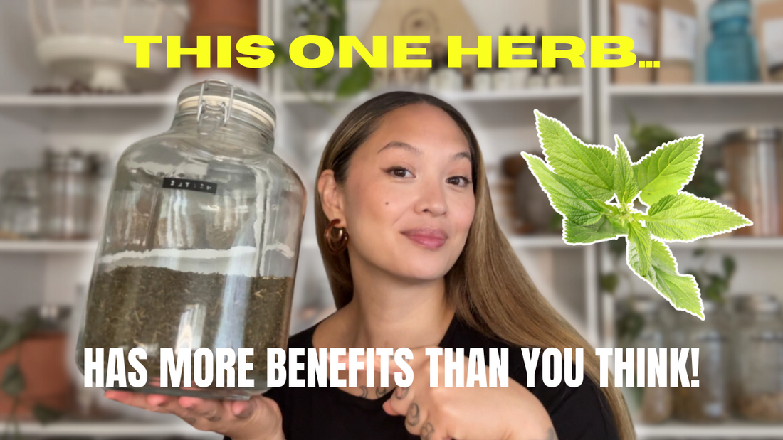 This One Herb Has More Benefits Than You Think: Nettle