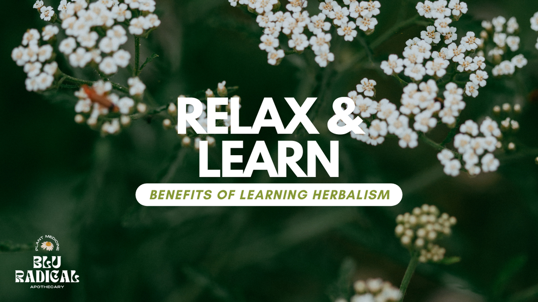 Benefits of learning herbalism 