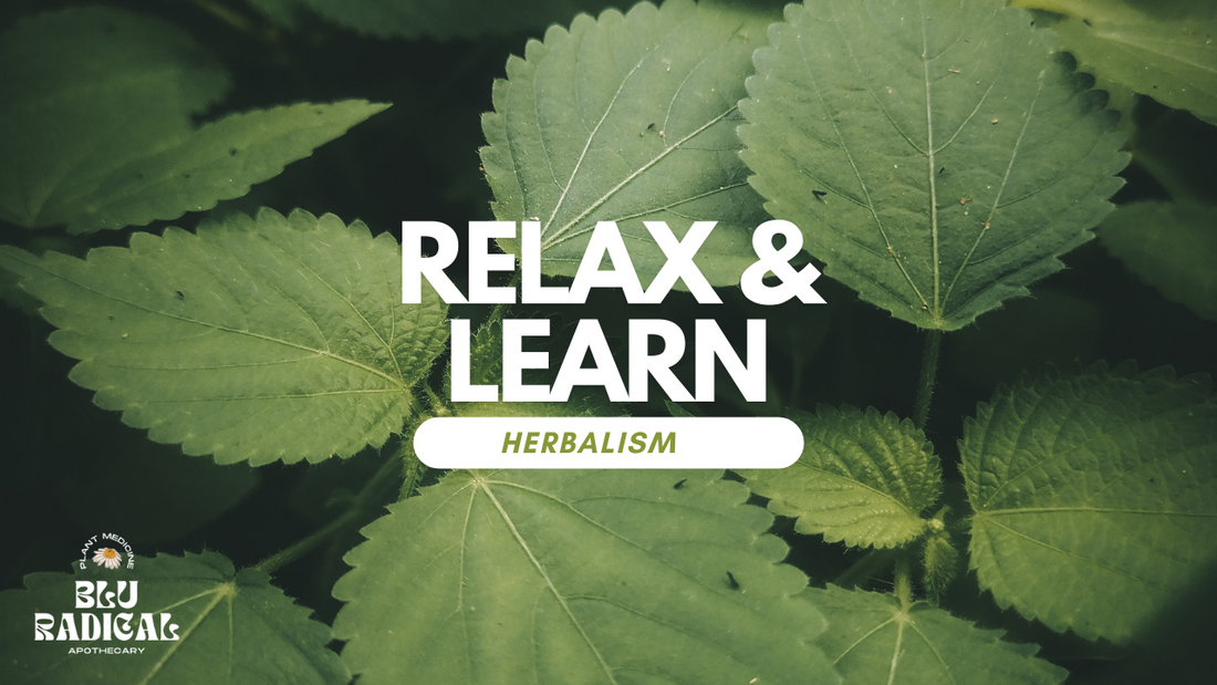 learn herbalism for free