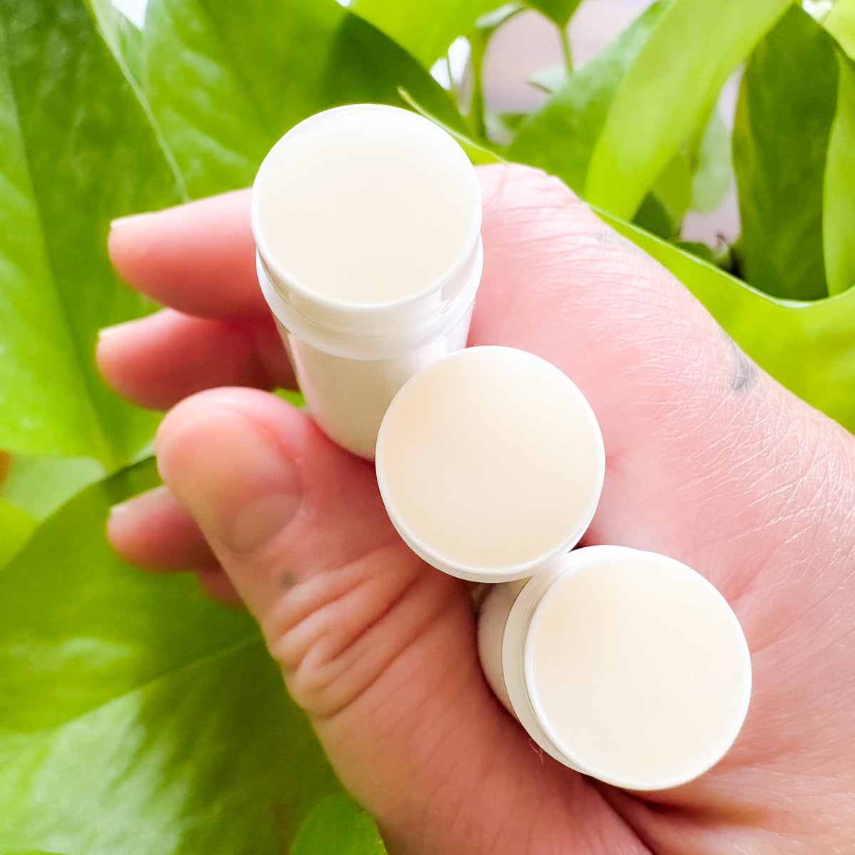 Organic Tallow Vanilla Lip Balm